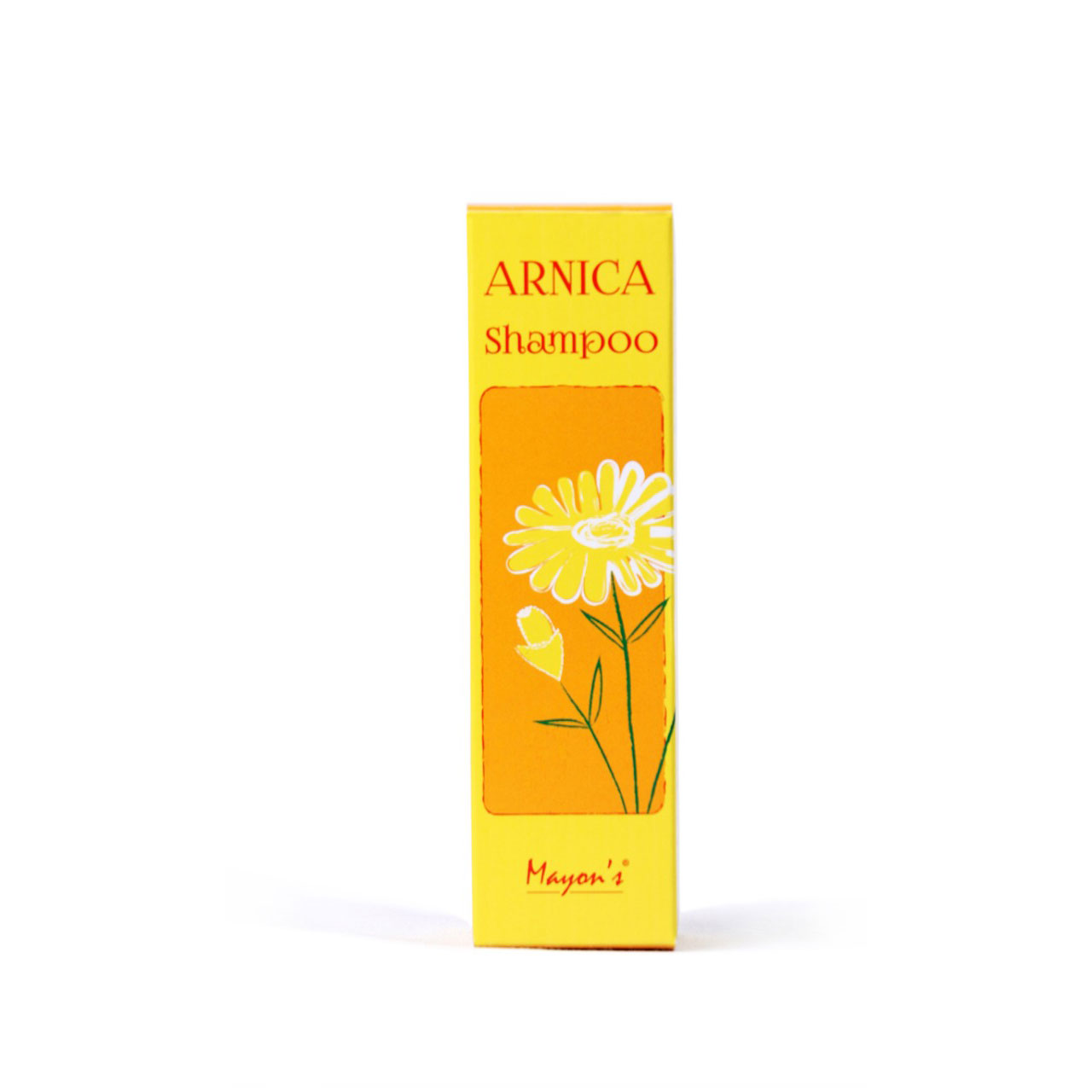Arnica-Shampoo-sq